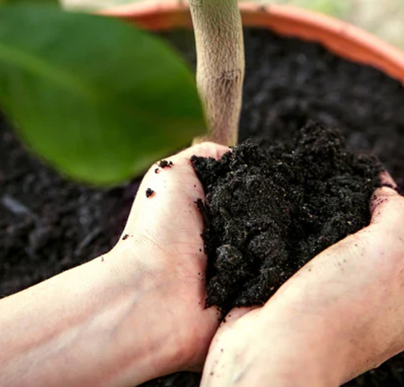 Tuinonderhoud Winkel -Tuinonderhoud Winkel 932f2745f14b073613d2cd078ded7642