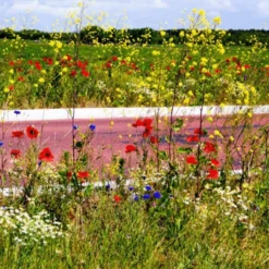 De Wiltfang Dakgoottrekker Met Telescoop Steel