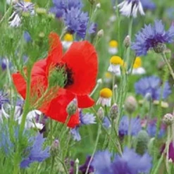 Nieuwe uitgaven -Tuinonderhoud Winkel image 147
