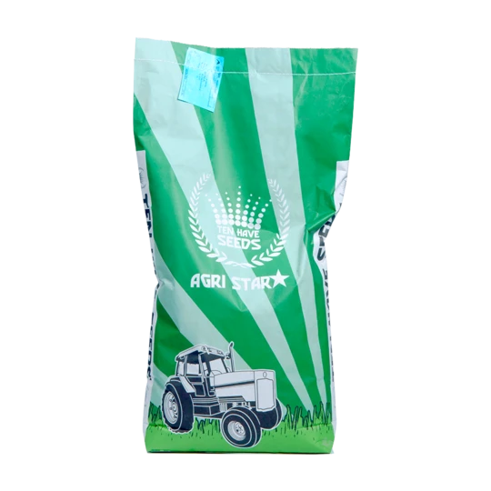 Blossombs Adventskalender - Xmas 2 Blossombs Adventskalender - Xmas - Afbeelding 2