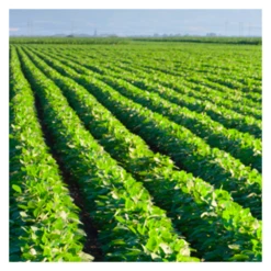 Talen Tools Poederverstuiver Met Verpulveraar