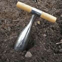 De Wiltfang RHS Pootstok -Tuinonderhoud Winkel image 353