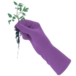 De Wiltfang Foxgloves Original -Tuinonderhoud Winkel image 360