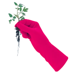 De Wiltfang Foxgloves Original -Tuinonderhoud Winkel image 361