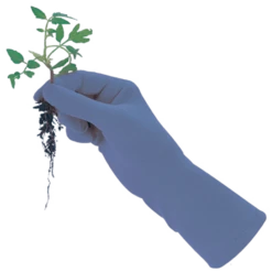 De Wiltfang Foxgloves Original -Tuinonderhoud Winkel image 362