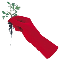 De Wiltfang Foxgloves Original -Tuinonderhoud Winkel image 363