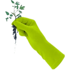 De Wiltfang Foxgloves Original -Tuinonderhoud Winkel image 364