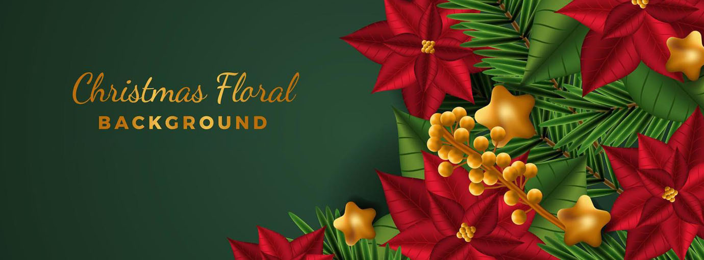 Tuinonderhoud Winkel -Tuinonderhoud Winkel 120